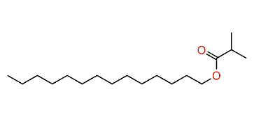 Tetradecyl isobutyrate